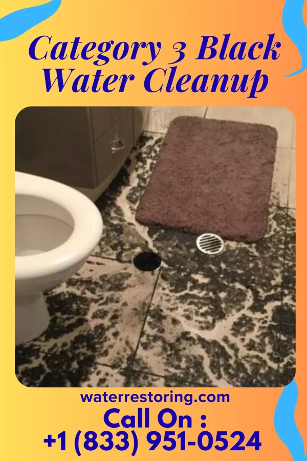 Category 3 Black Water Cleanup in Fairmont, MN