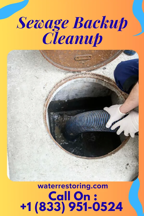Sewage Backup Cleanup in Fairmont, MN