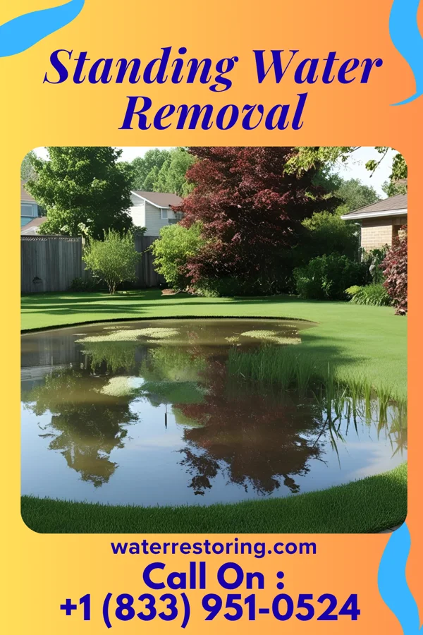Standing Water Removal in Fairmont, MN